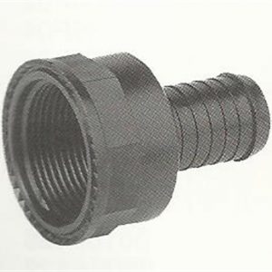 Hosetail (female) BSP