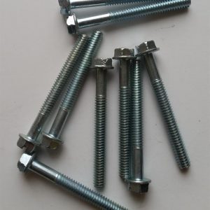 Pacer Body screw