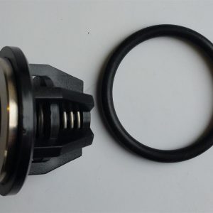 Valve assembly large and valve o ring