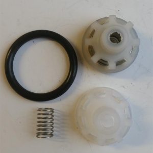 Valve assembly, o ring and cage spring