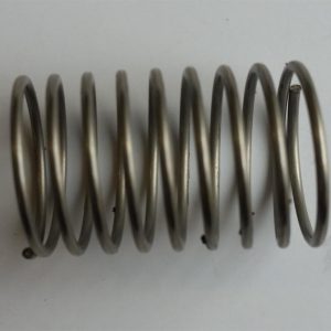 Valve spring large