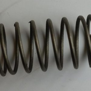 Bertolini valve spring small