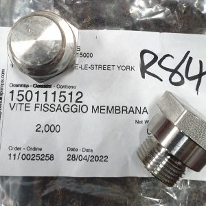 DIAPHRAGM SCREW (STUD) for 2400 PUMP